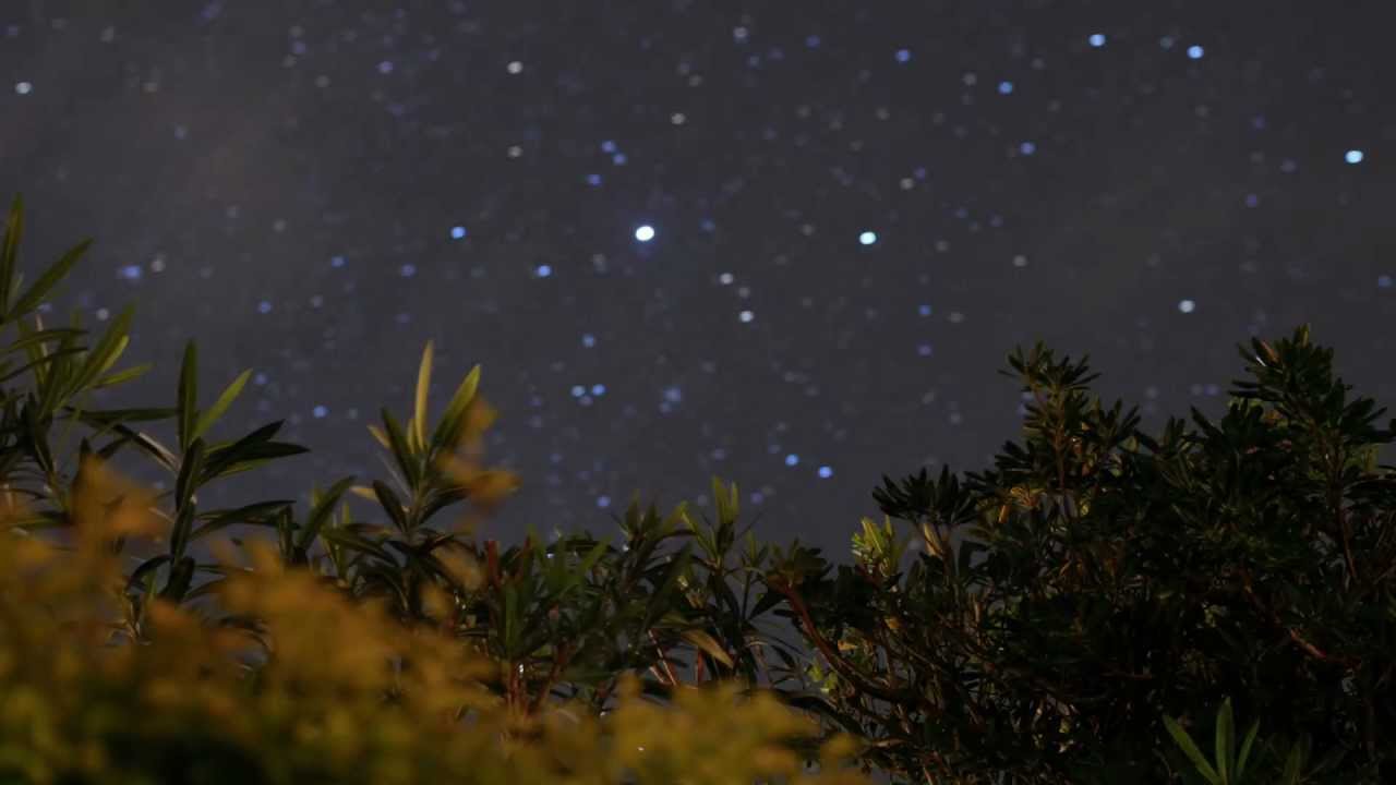 bermuda-nightlife-just-awesome