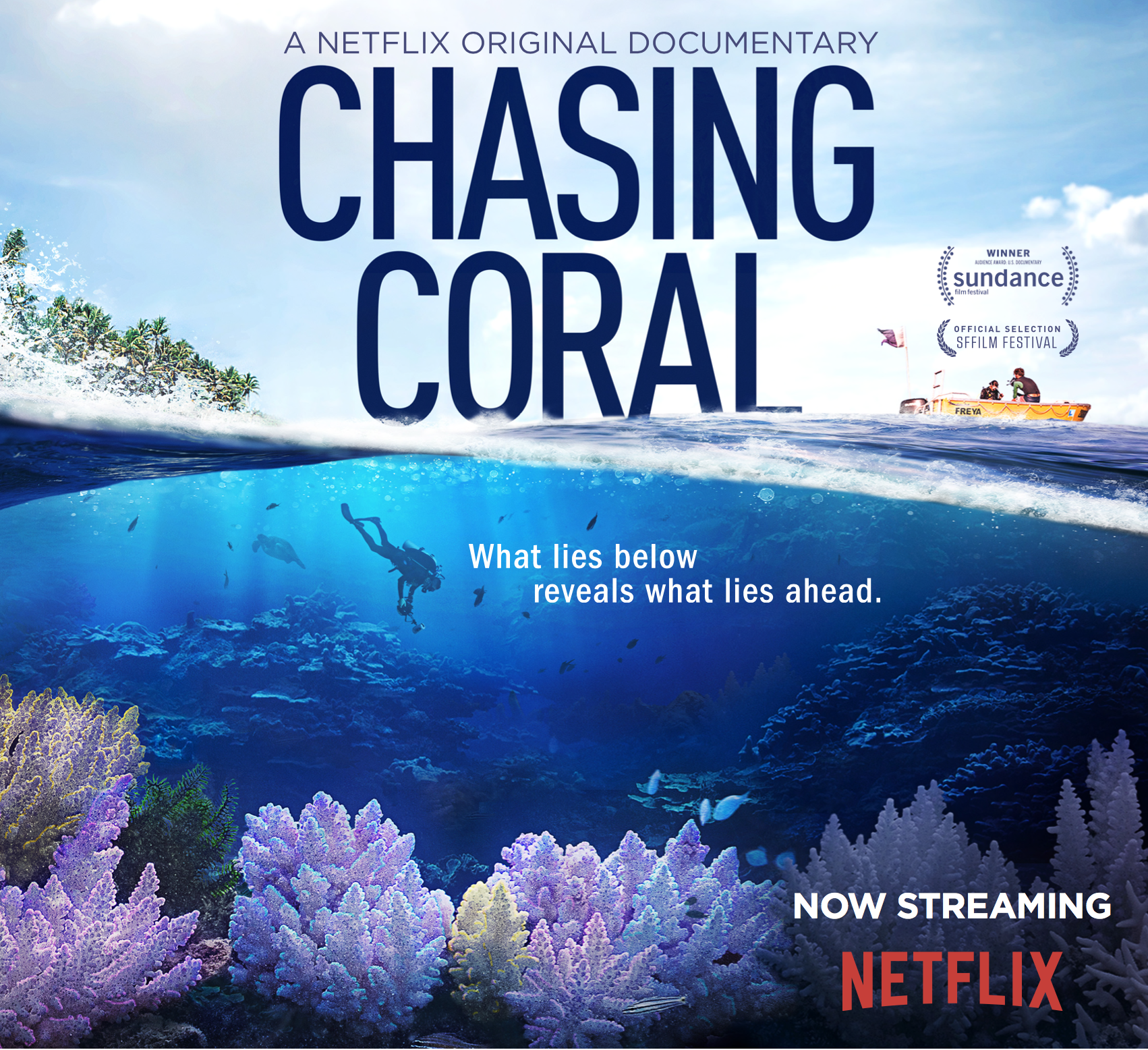 Chasing Coral Profile and Instagram